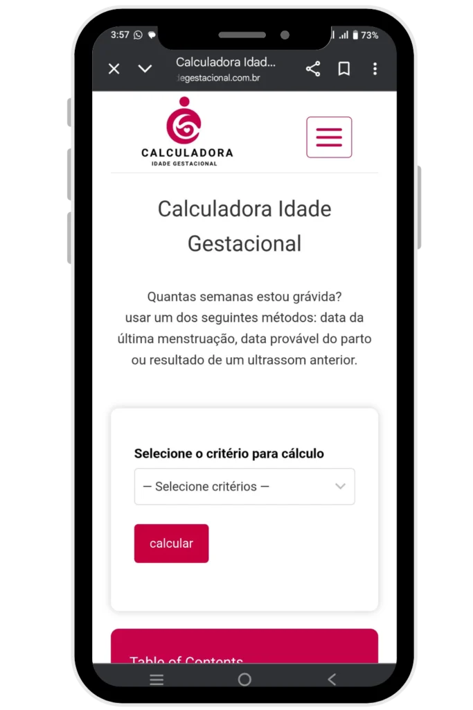 Calculadora Idade-Gestacional Screenshot 1