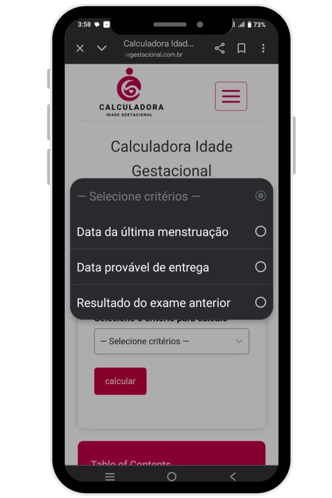 Calculadora Idade-Gestacional Screenshot 2