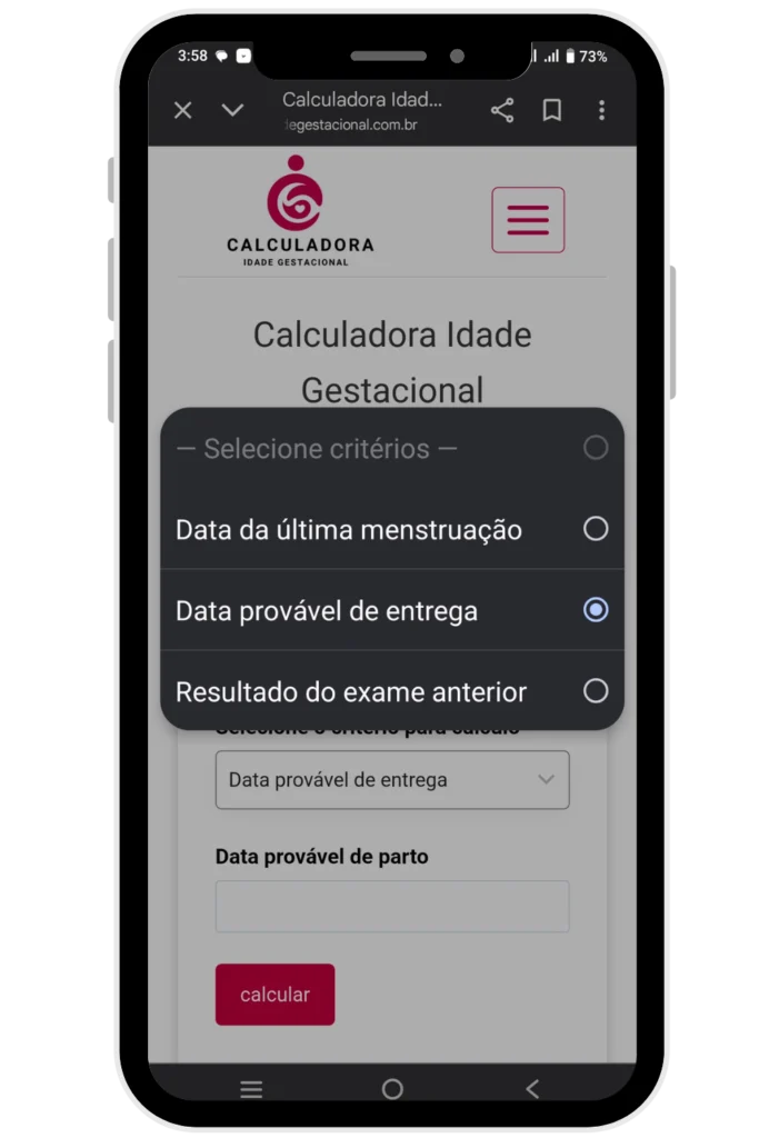 Gestational Age Calculator Screenshot 3
