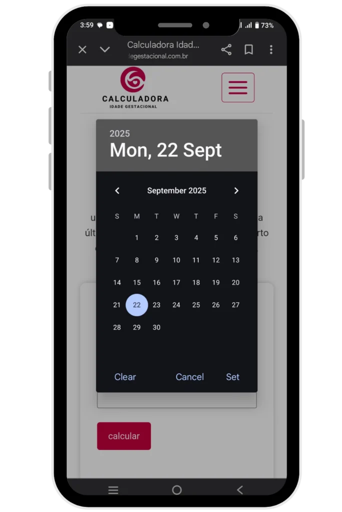 Gestational Age Calculator Screenshot 5